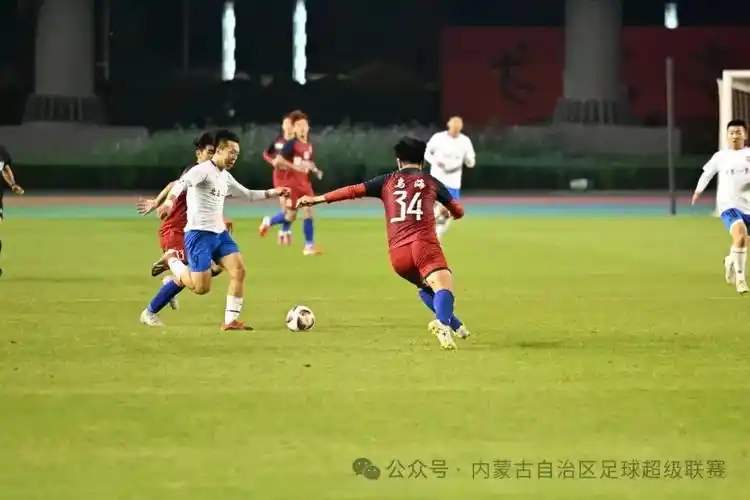 雨燕直播体育